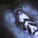 Illustration for article titled Concept Art Writing Prompt: Necrotic Focus